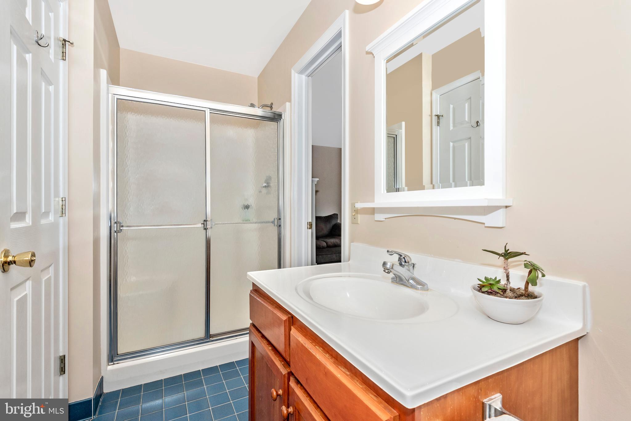 8542 Pete Wiles Road Middletown, MD 21769 - Photo 31 of 77 Main level guest bathroom with a separate shower