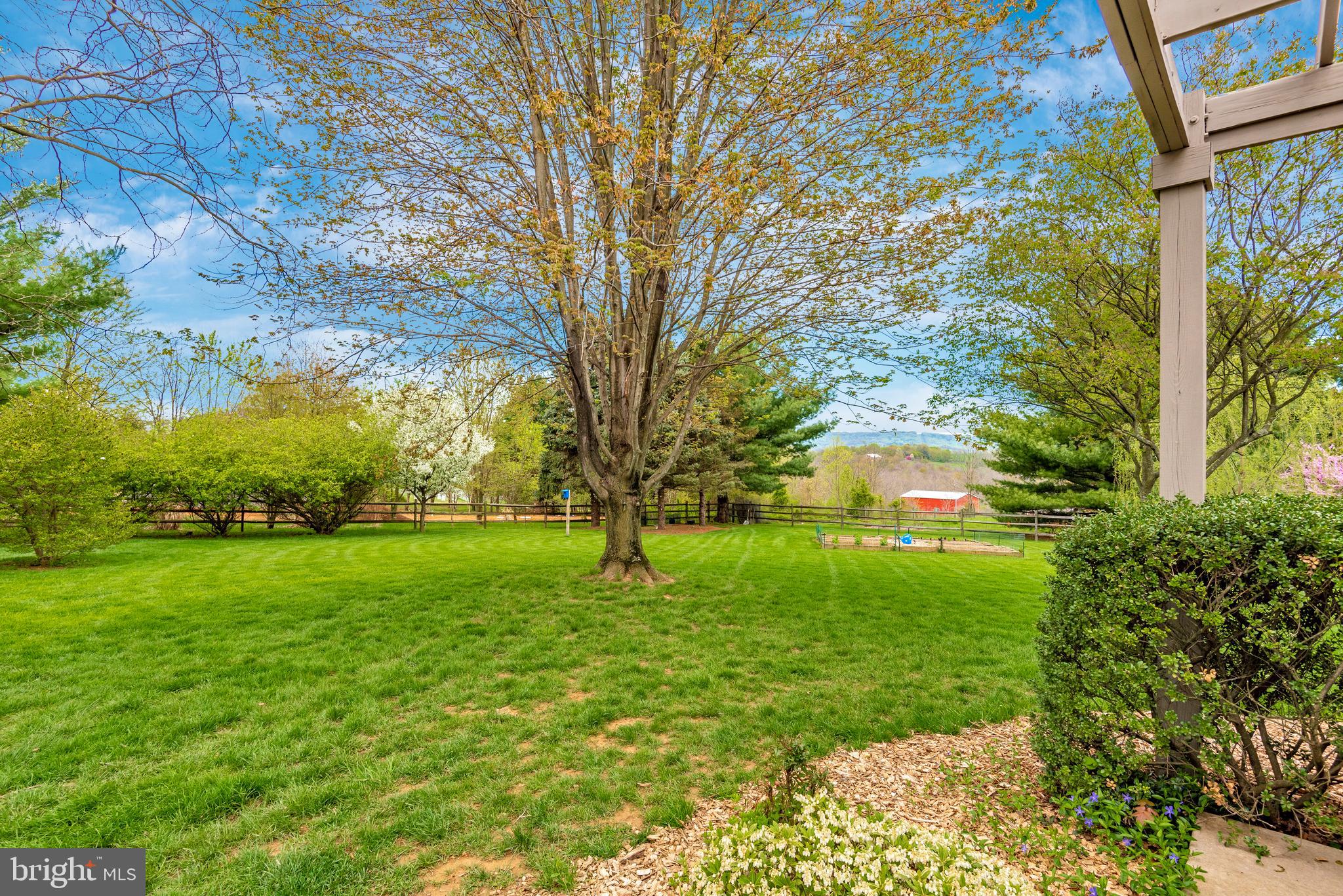 8542 Pete Wiles Road Middletown, MD 21769 - Photo 62 of 77 Panoramic mountain views