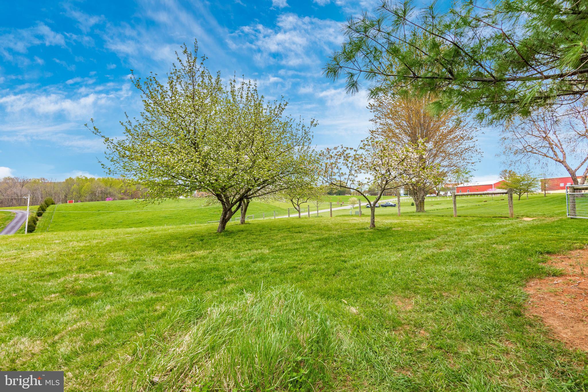 8542 Pete Wiles Road Middletown, MD 21769 - Photo 70 of 77 Gallery Image 70