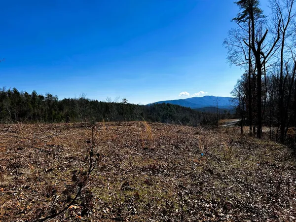 $135,900 | 107-125 Chestnut Mountain Road, Reliance, TN 37369