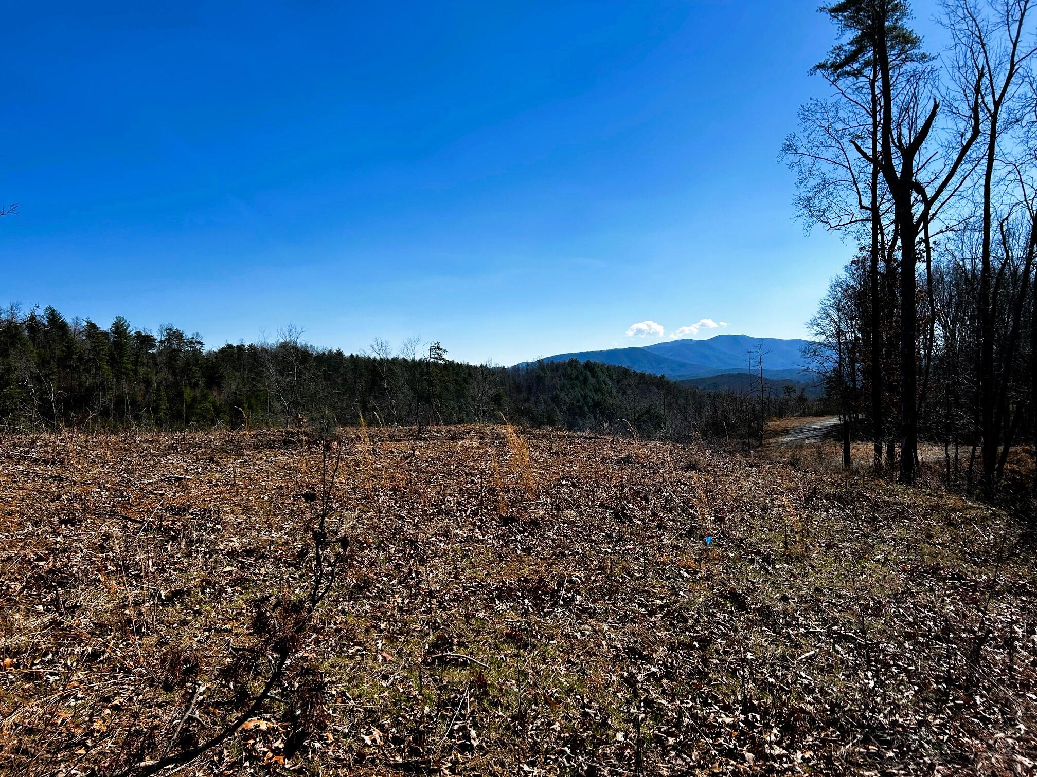 107-125 Chestnut Mountain Road Reliance, TN 37369 - Photo 1 of 31 Chestnut main