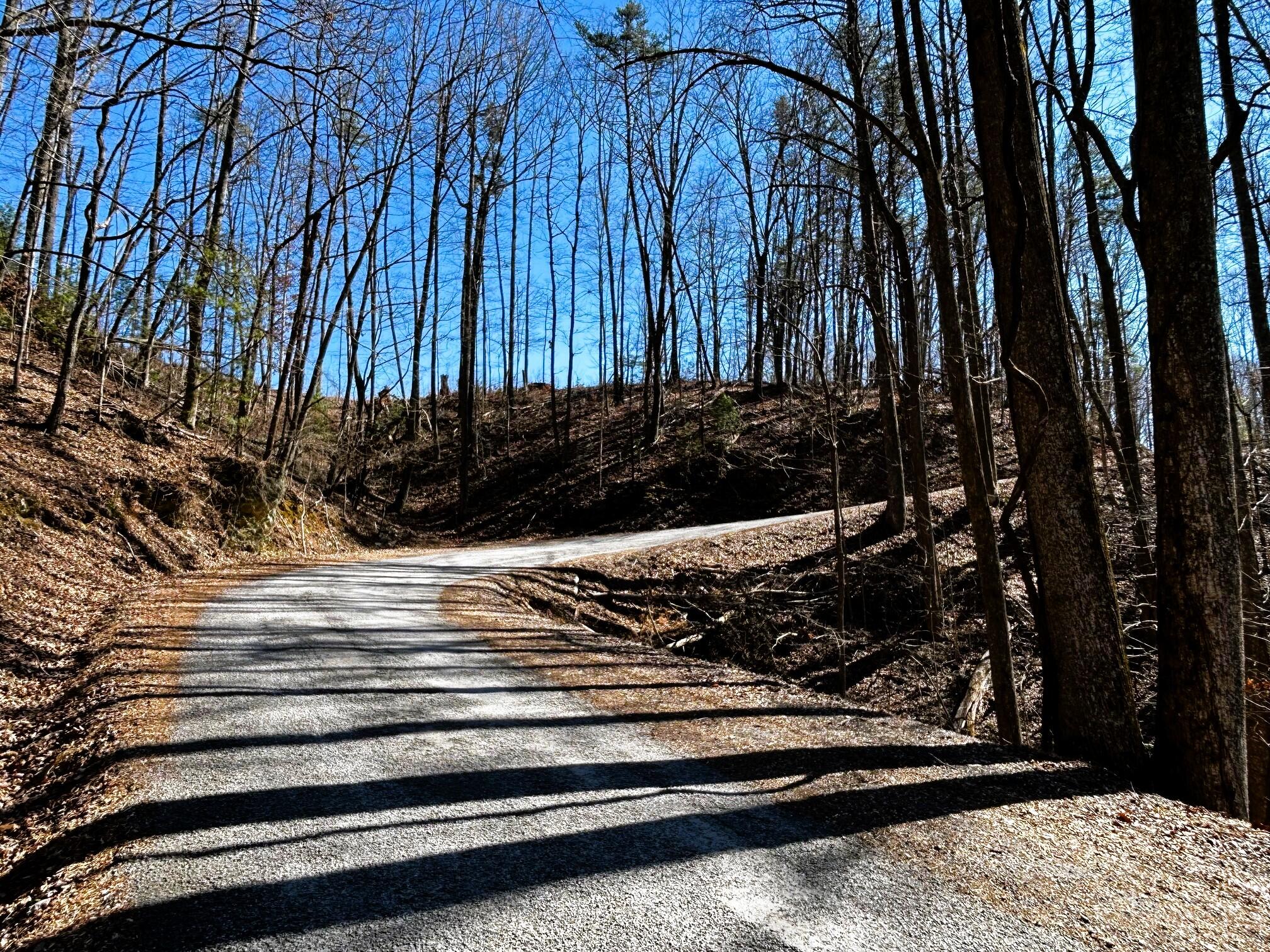 107-125 Chestnut Mountain Road Reliance, TN 37369 - Photo 11 of 31 chestnut mtn 16