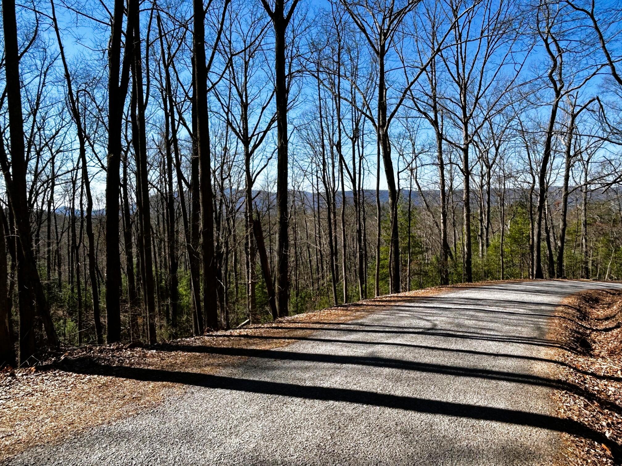 107-125 Chestnut Mountain Road Reliance, TN 37369 - Photo 12 of 31 chestnut mtn views 1