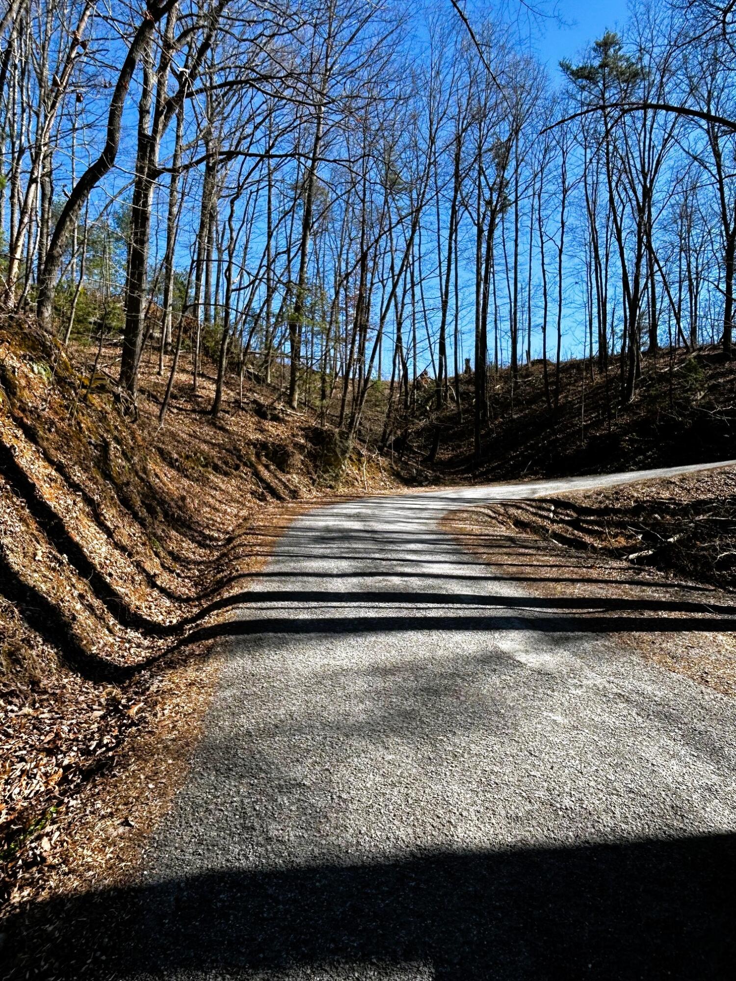 107-125 Chestnut Mountain Road Reliance, TN 37369 - Photo 13 of 31 chestnut mtn 15