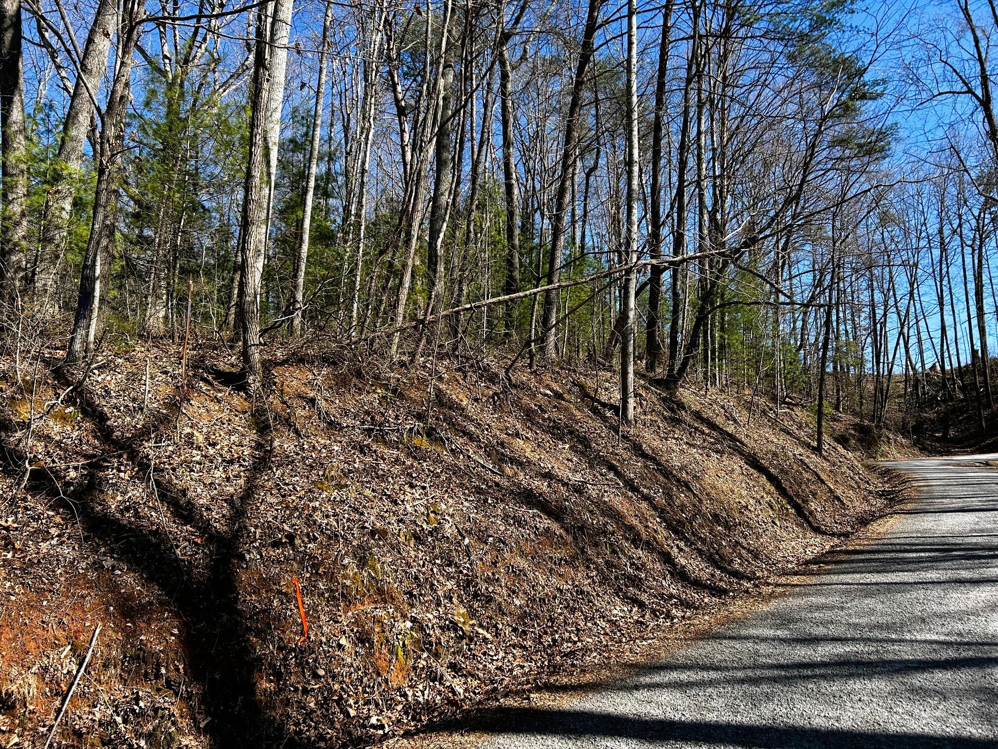 107-125 Chestnut Mountain Road Reliance, TN 37369 - Photo 14 of 31 chestnut mtn 14
