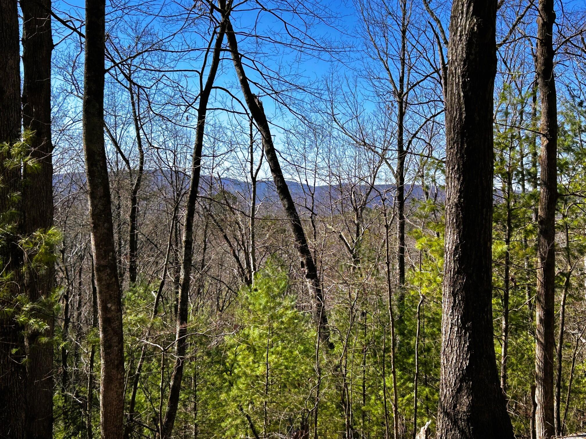 107-125 Chestnut Mountain Road Reliance, TN 37369 - Photo 15 of 31 chestnut mtn views