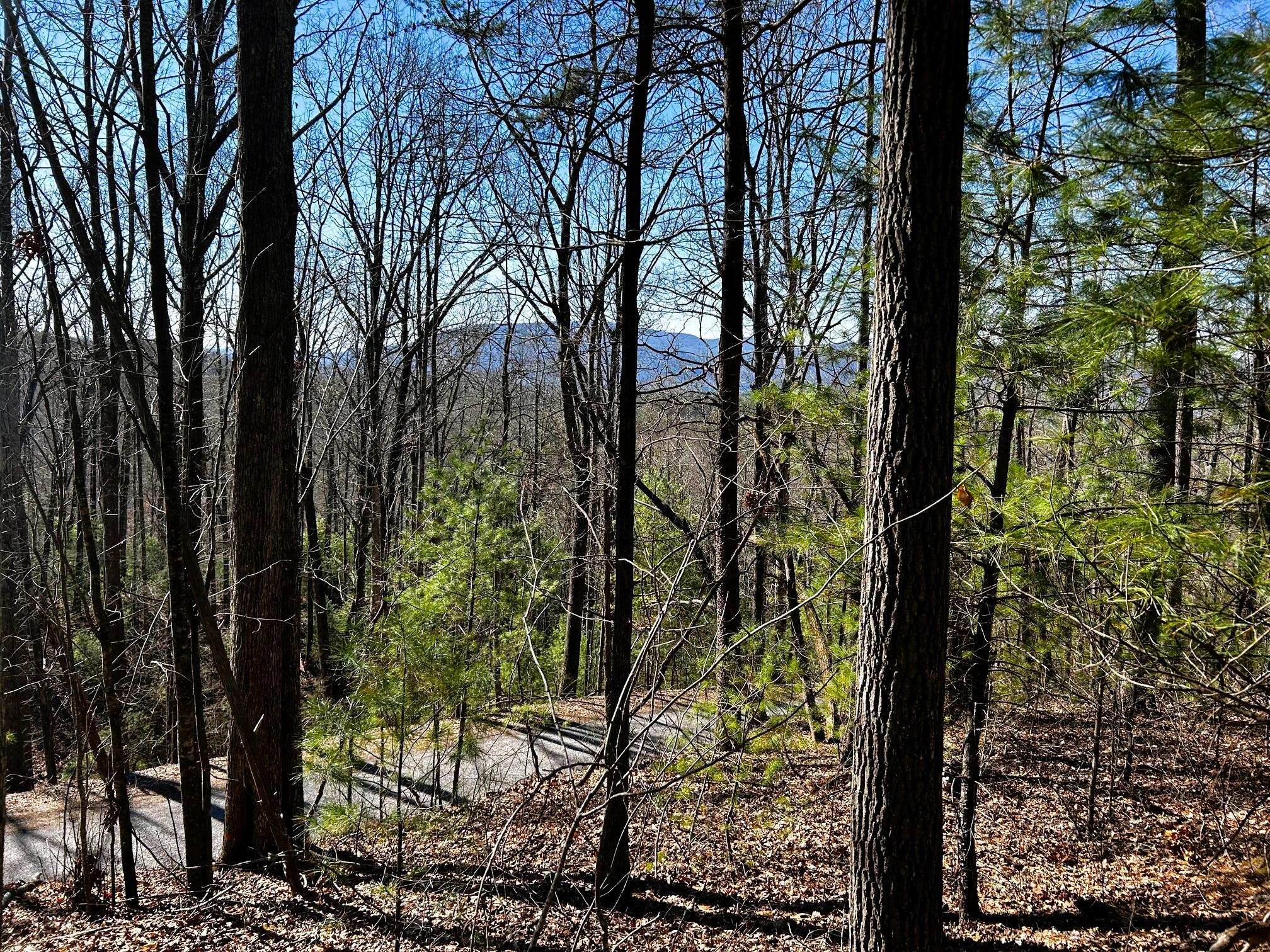 107-125 Chestnut Mountain Road Reliance, TN 37369 - Photo 2 of 31 chestnut mtn main 1