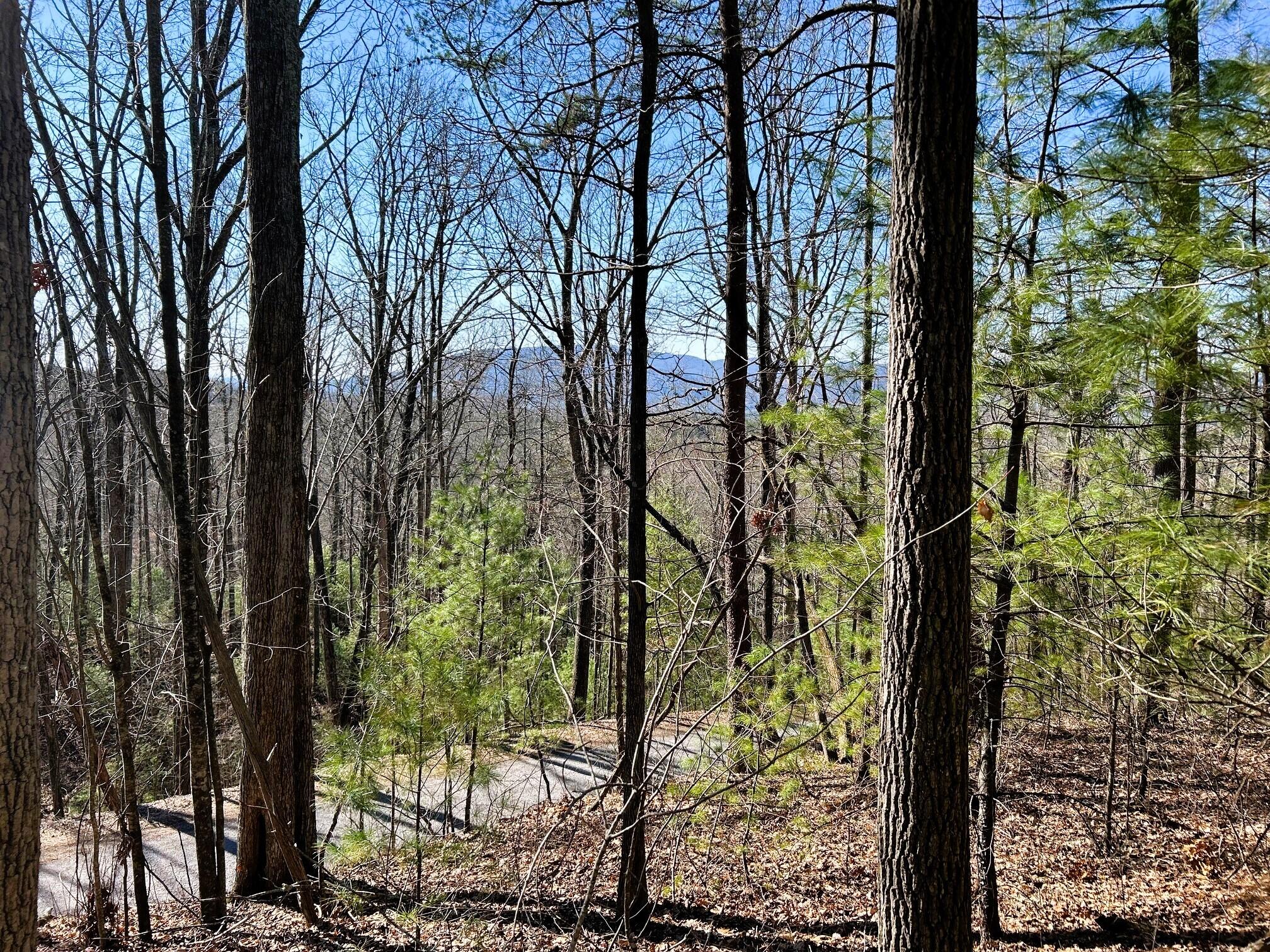 107-125 Chestnut Mountain Road Reliance, TN 37369 - Photo 21 of 31 chestnut mtn 6