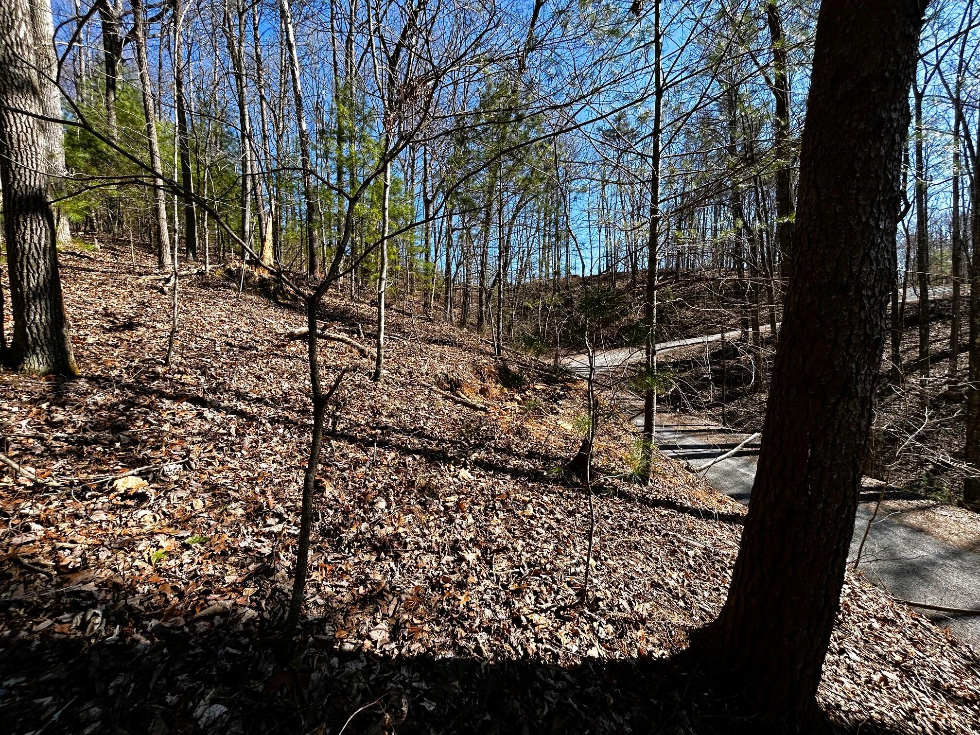 107-125 Chestnut Mountain Road Reliance, TN 37369 - Photo 26 of 31 chestnut mtn 1