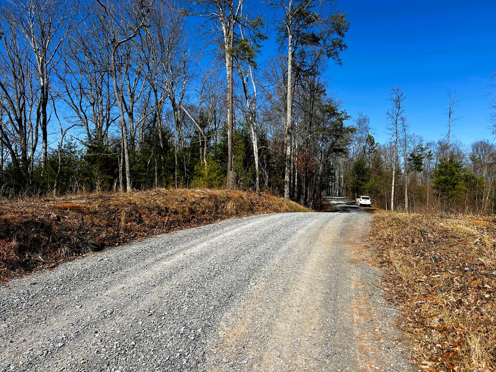 107-125 Chestnut Mountain Road Reliance, TN 37369 - Photo 27 of 31 chestnut 11