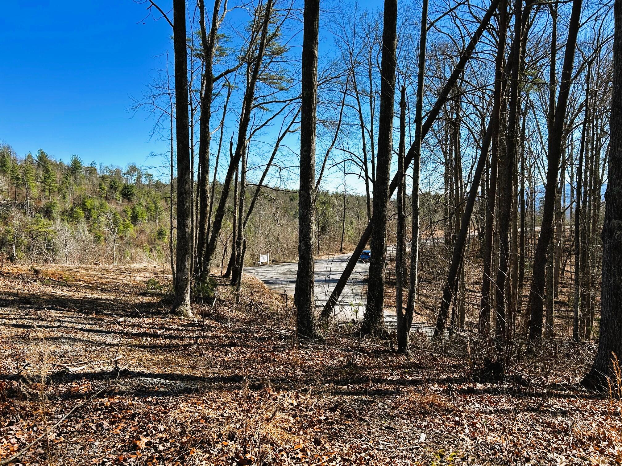 107-125 Chestnut Mountain Road Reliance, TN 37369 - Photo 28 of 31 chestnut 10