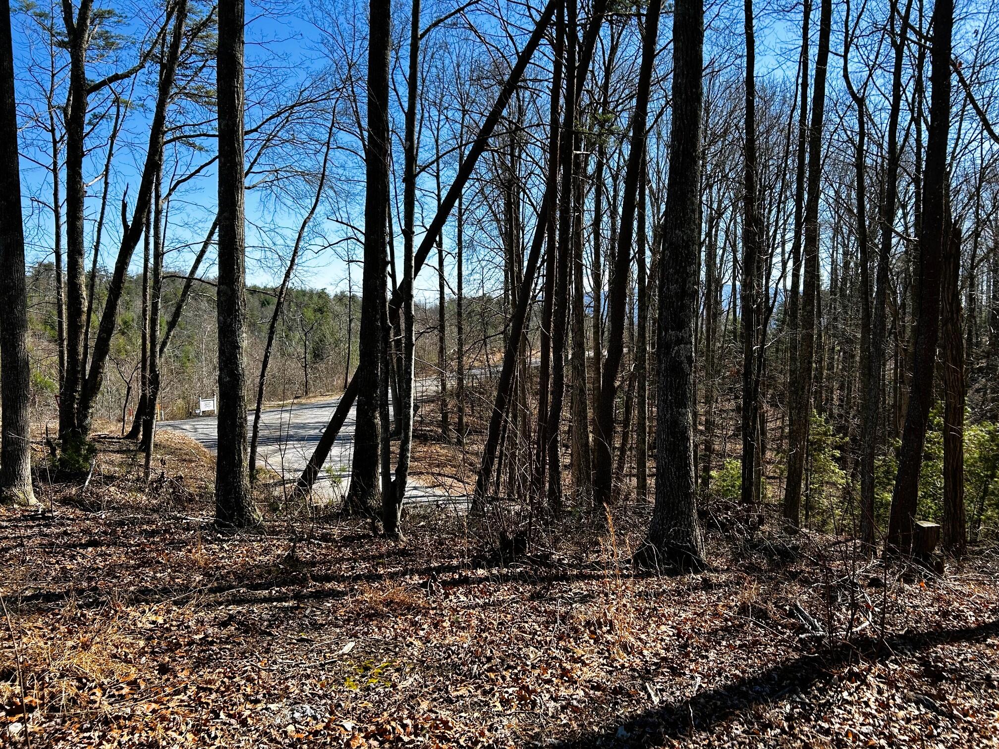 107-125 Chestnut Mountain Road Reliance, TN 37369 - Photo 29 of 31 Chestnut 7