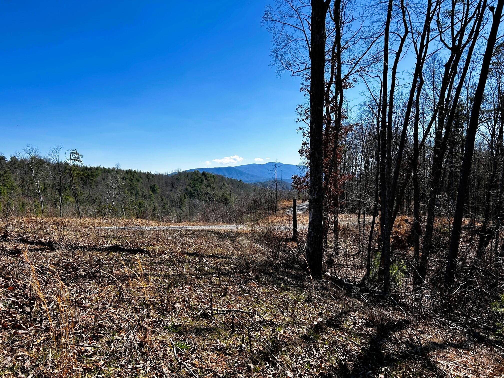 107-125 Chestnut Mountain Road Reliance, TN 37369 - Photo 3 of 31 Chestnut 1main