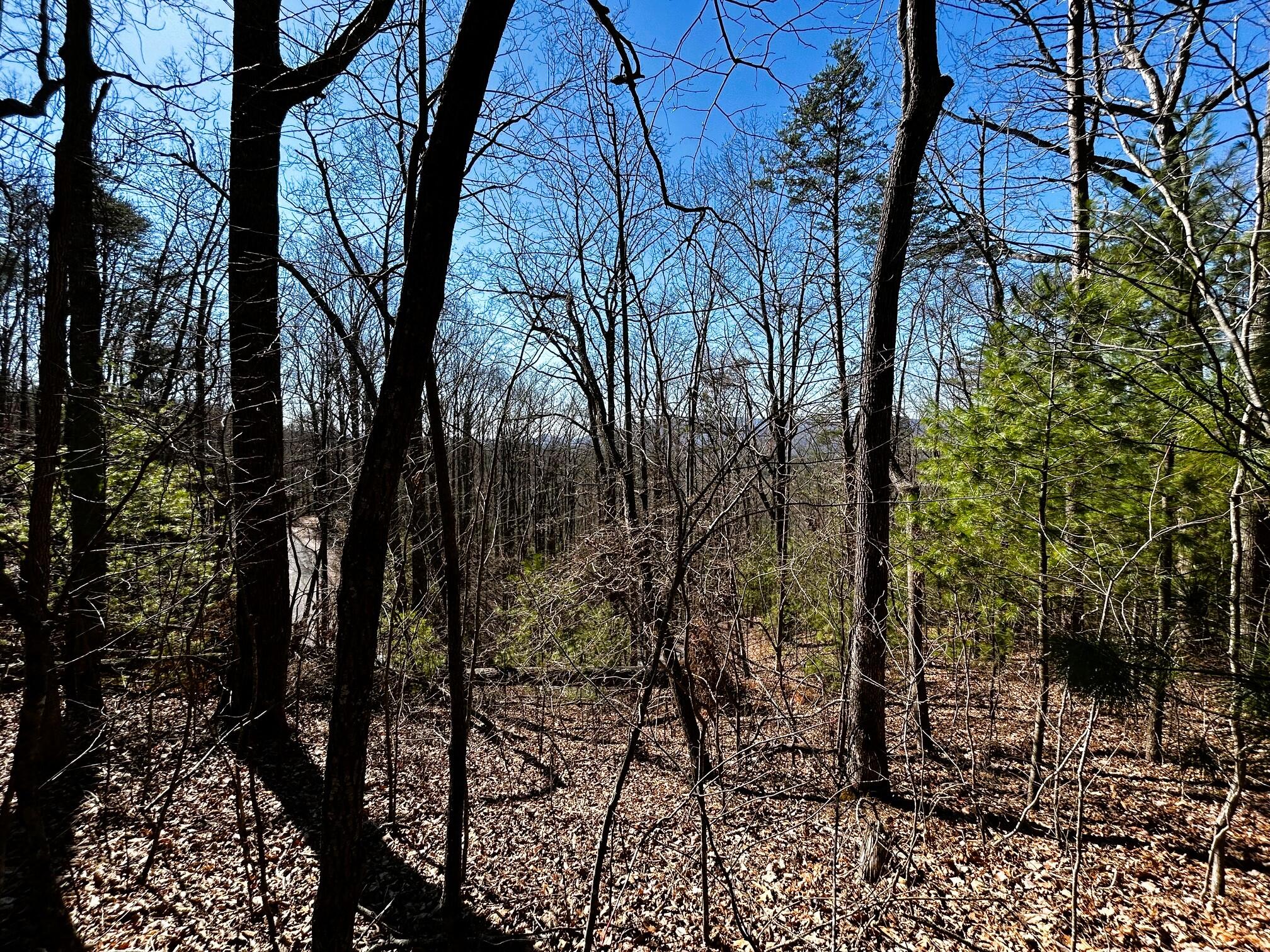 107-125 Chestnut Mountain Road Reliance, TN 37369 - Photo 31 of 31 Chestnut 5