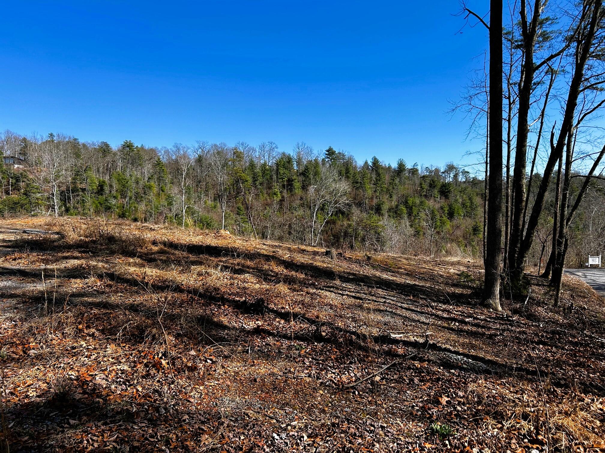 107-125 Chestnut Mountain Road Reliance, TN 37369 - Photo 6 of 31 chestnut 9