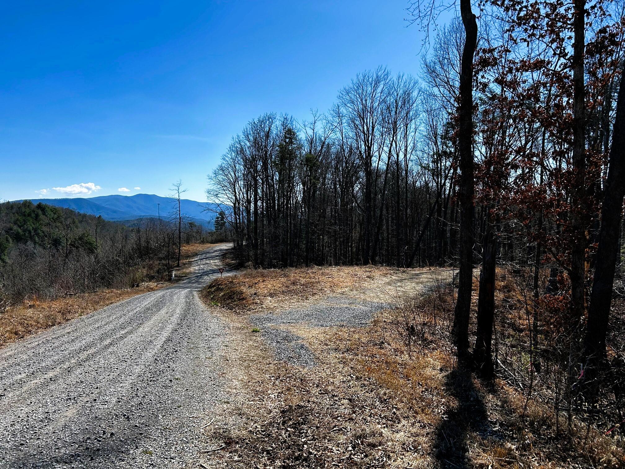 107-125 Chestnut Mountain Road Reliance, TN 37369 - Photo 9 of 31 Chestnut 4