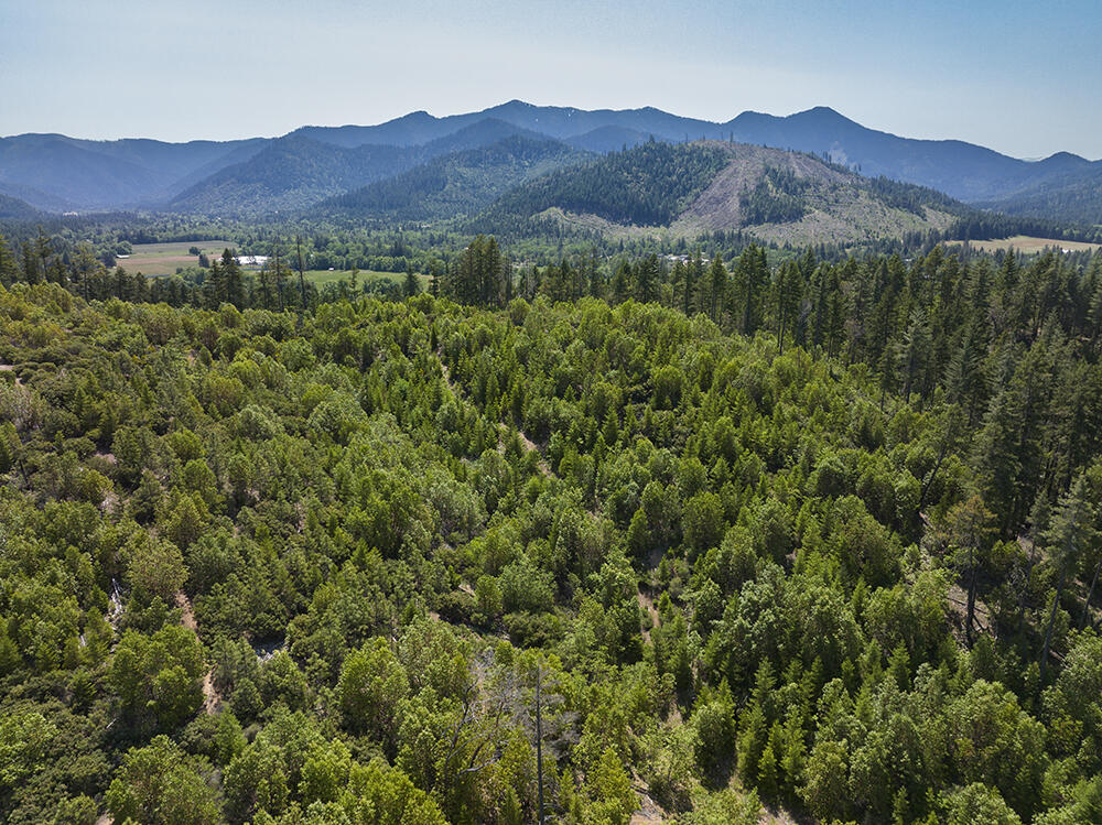 0 Deer Creek Road, Unit 802 Selma, OR 97538 - Photo 6 of 9 6