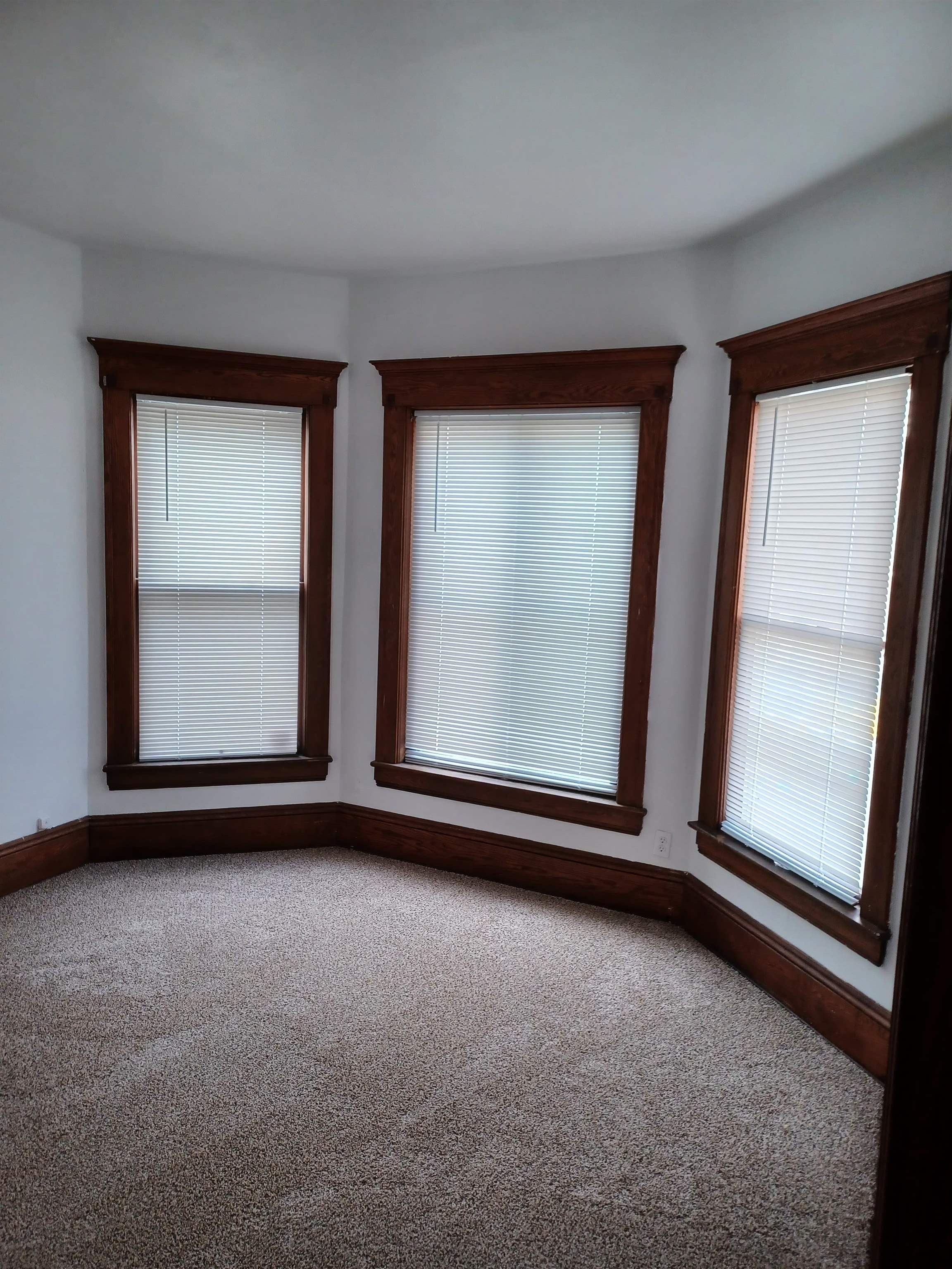 815 North Appleton Street Appleton, WI 54911 - Photo 5 of 18 Gallery Image 5