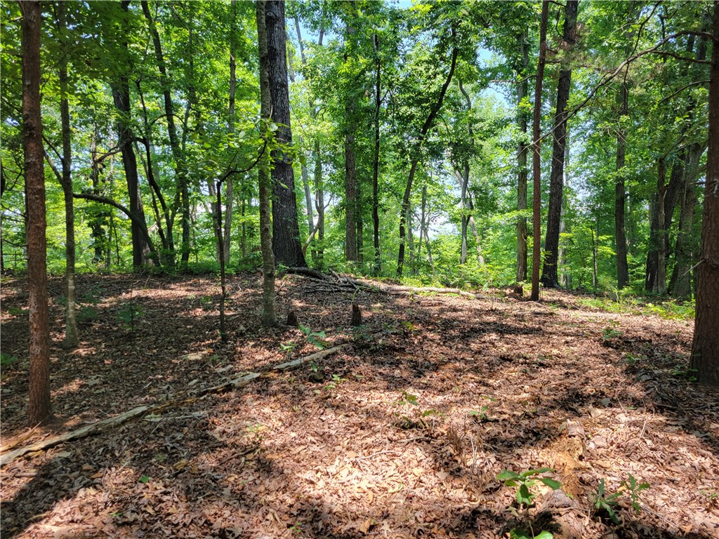 306 Foxfire Road Central, SC 29630 - Photo 8 of 12