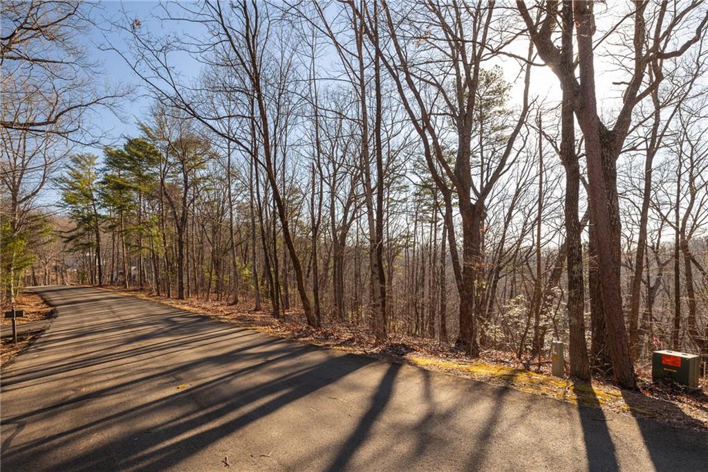 0 Outback Ridge Trail Jasper, GA 30143 - Photo 10 of 11