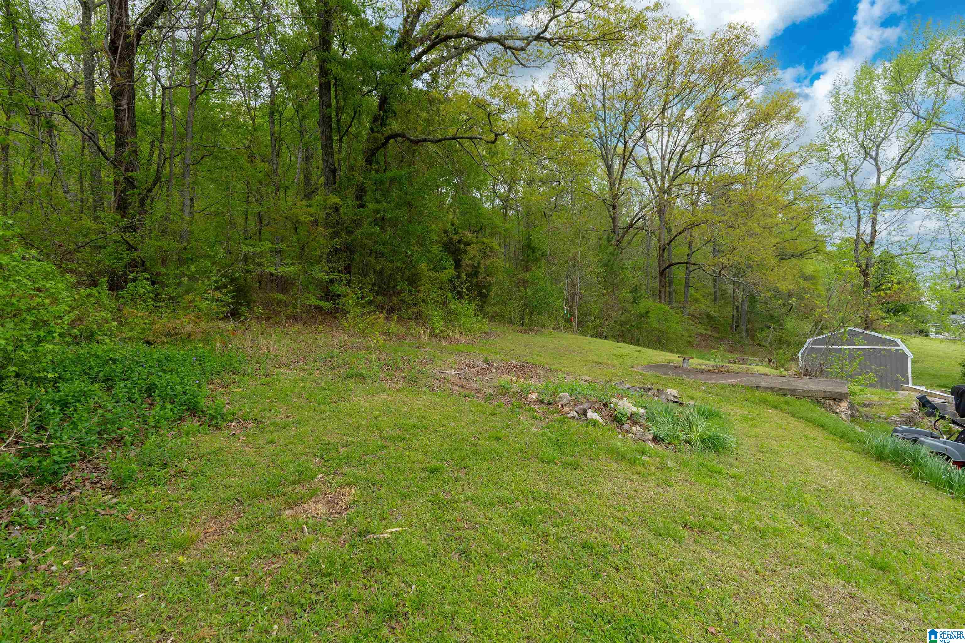 16631 Remlap Drive Remlap, AL 35133 - Photo 41 of 41