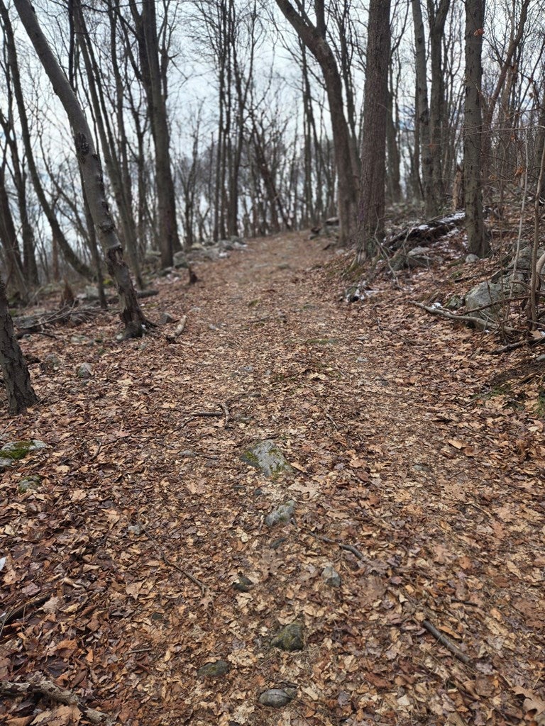 0 Laurel Mountain Road Three Springs, PA 17264 - Photo 4 of 6 right of way