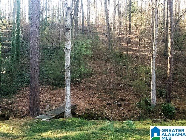 1364 Willoughby Road Birmingham, AL 35216 - Photo 48 of 48