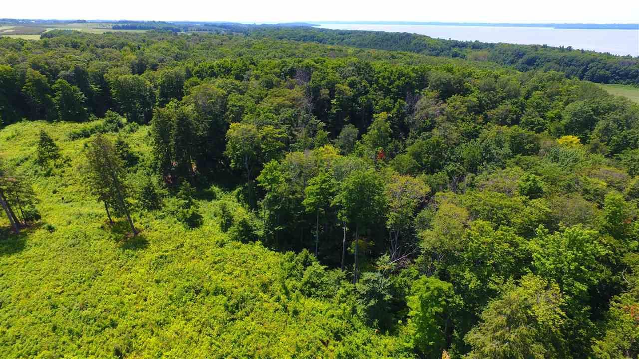 Swaney Road Traverse City, MI 49686 - Photo 13 of 15 1939386-4ECAA97B-92DF-4B10-9A59-9A64159A6732.JPG