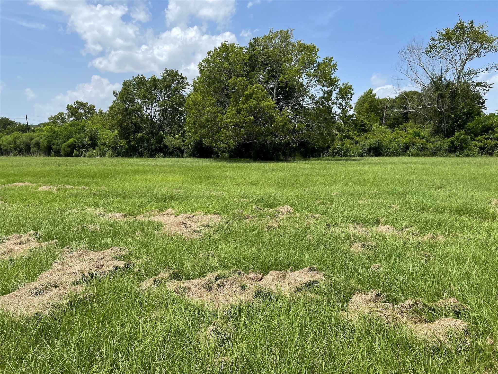 0 Doreen Street Rosharon, TX 77583 - Photo 13 of 24 a view of yard with green space
