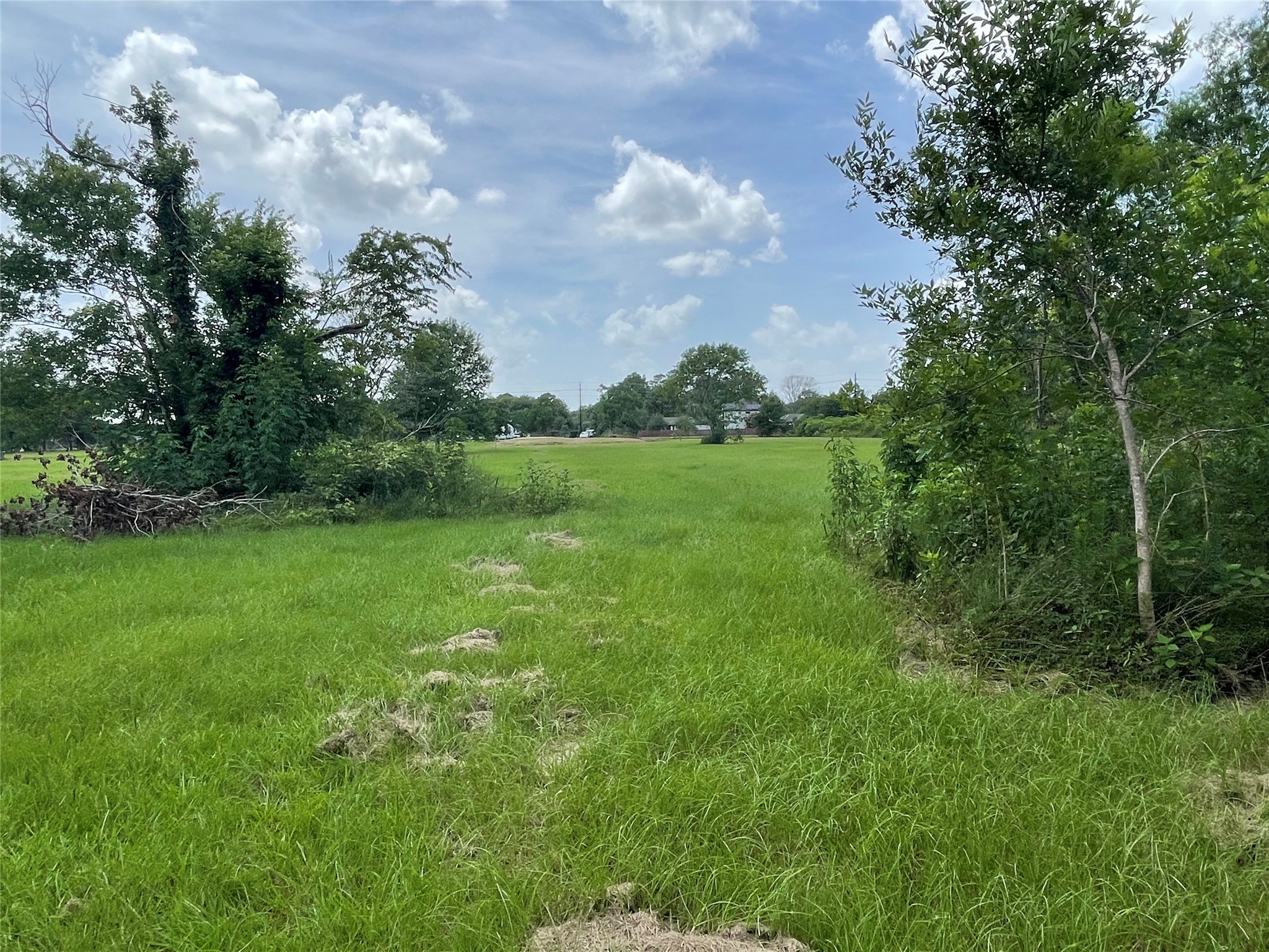 0 Doreen Street Rosharon, TX 77583 - Photo 15 of 24