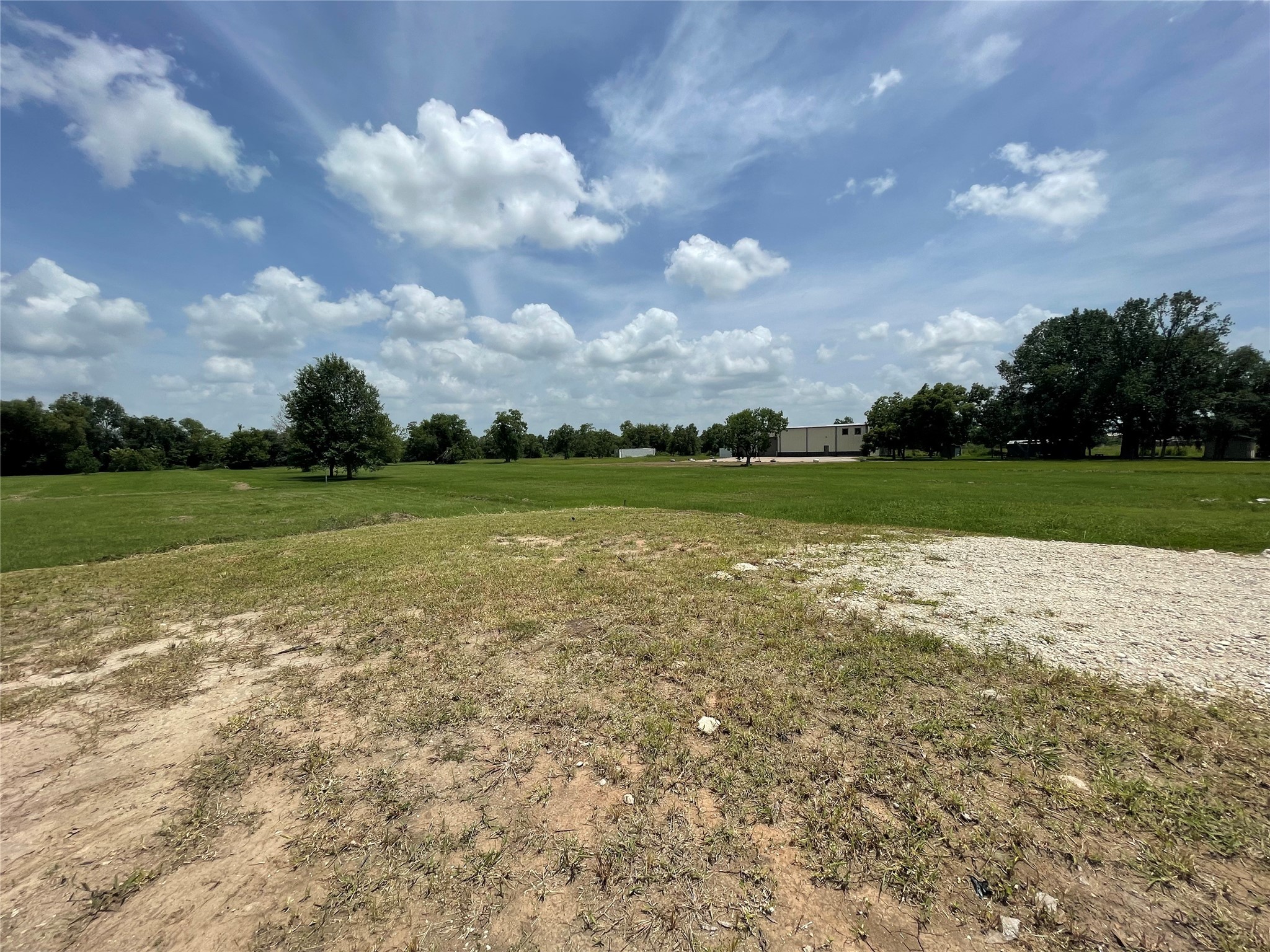 0 Doreen Street Rosharon, TX 77583 - Photo 17 of 24 a view of a big yard with plants and large trees