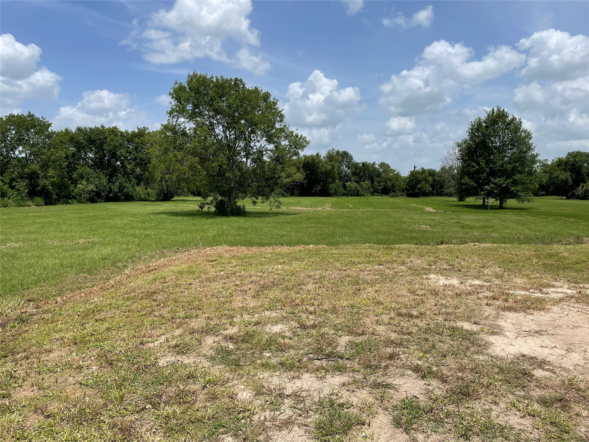 0 Doreen Street Rosharon, TX 77583 - Photo 18 of 24 a view of a field of grass and trees