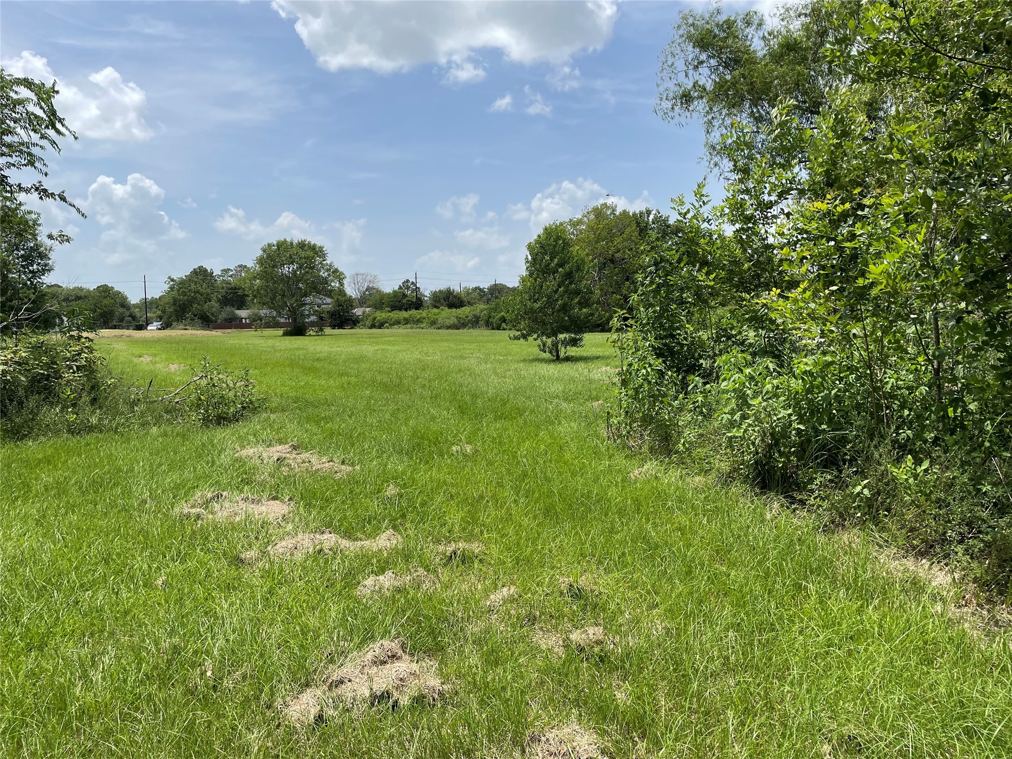 0 Doreen Street Rosharon, TX 77583 - Photo 20 of 24 a view of a lush green space