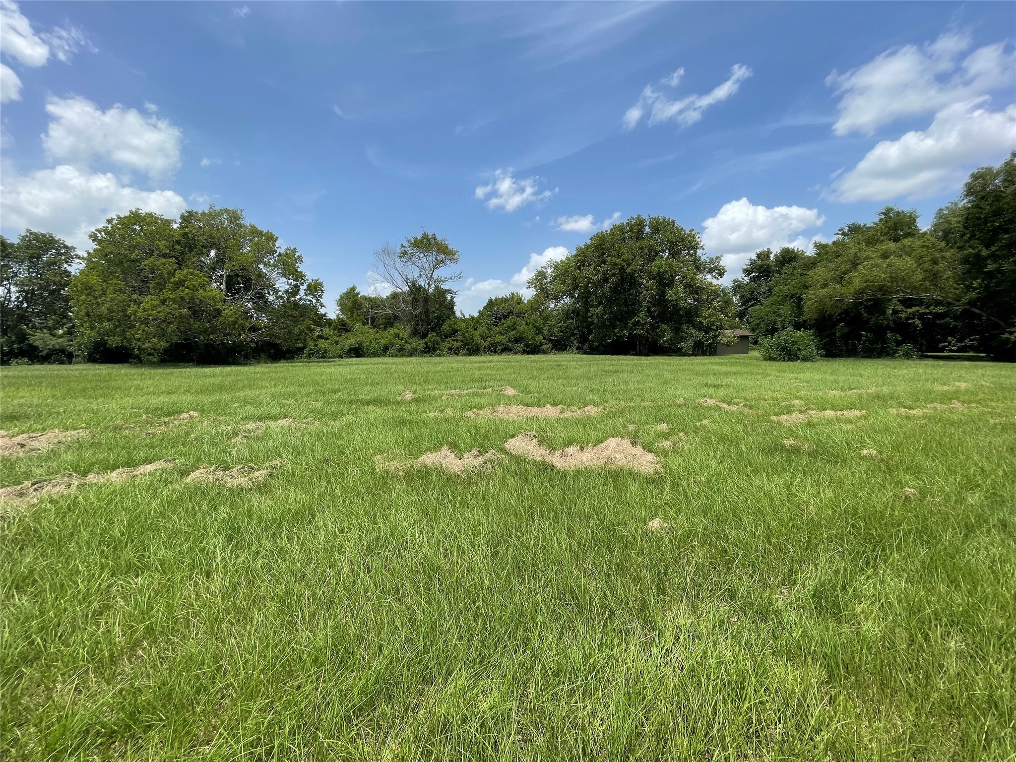 0 Doreen Street Rosharon, TX 77583 - Photo 21 of 24 a view of a big yard with a large tree and a table and chairs