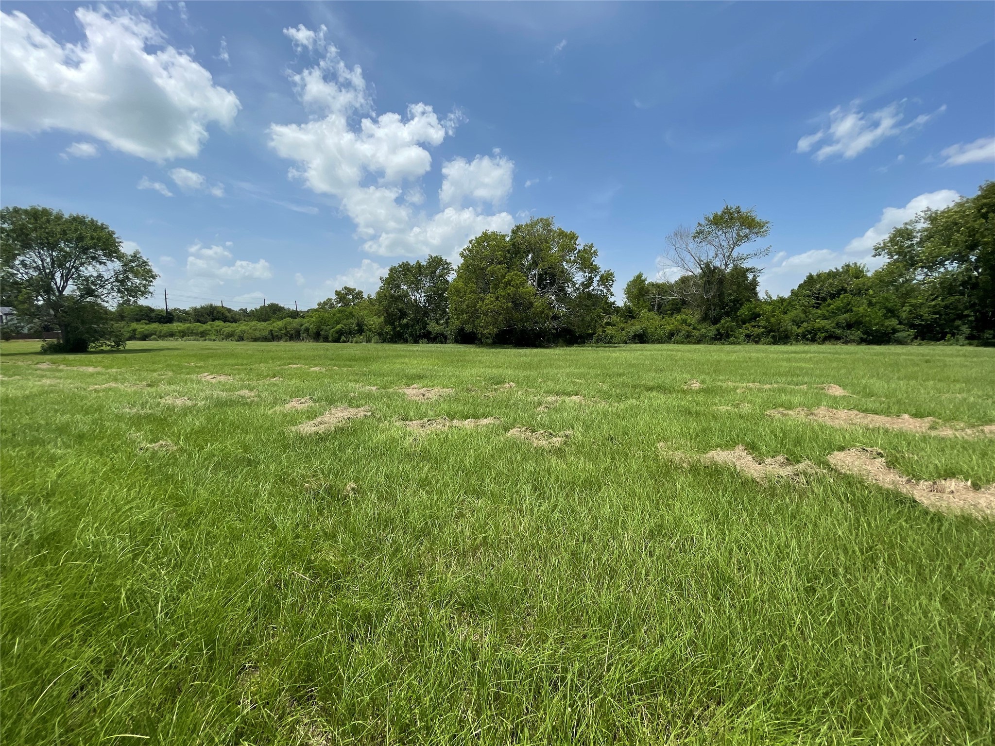 0 Doreen Street Rosharon, TX 77583 - Photo 22 of 24 a view of field with trees in the background