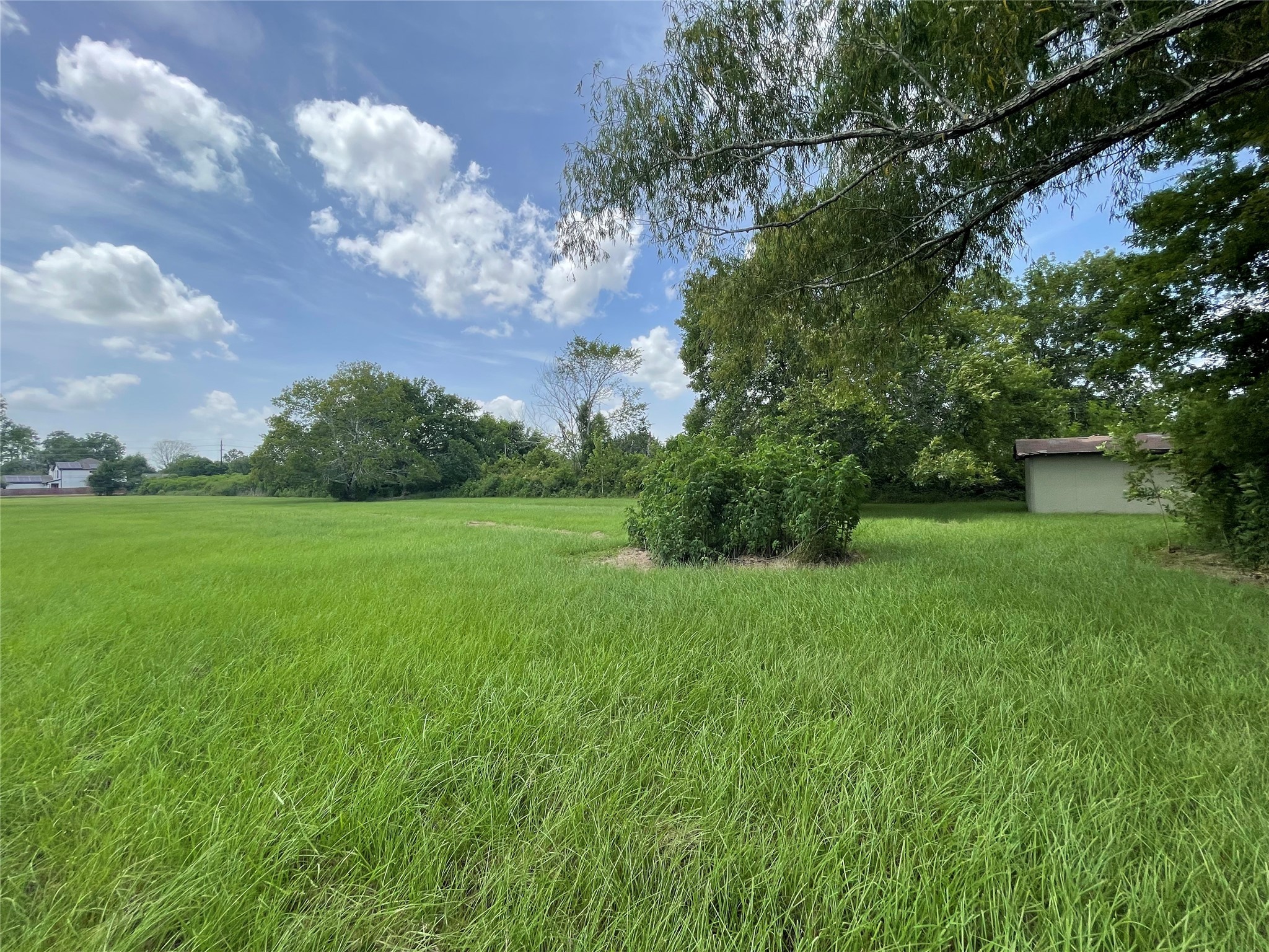 0 Doreen Street Rosharon, TX 77583 - Photo 23 of 24 a view of a garden with a building in the background