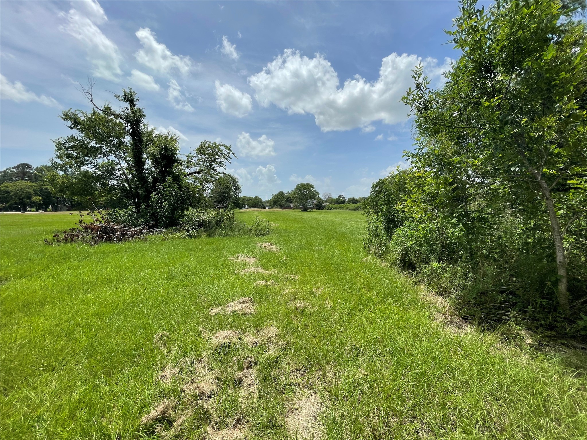 0 Doreen Street Rosharon, TX 77583 - Photo 24 of 24 a view of yard with green space