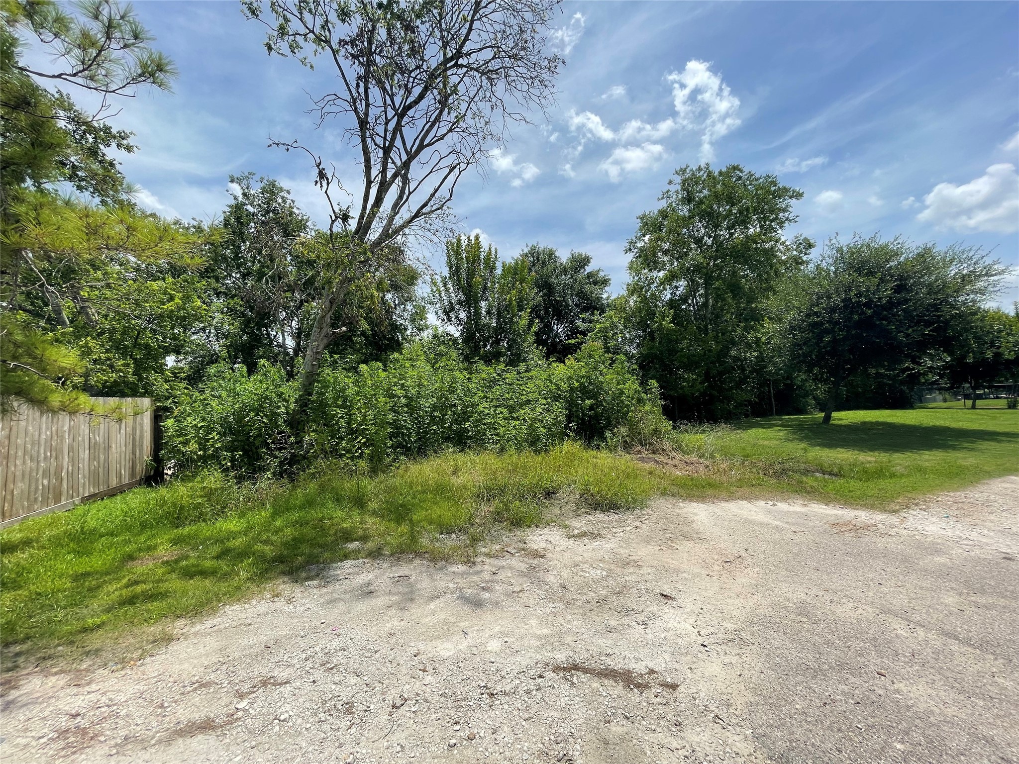 0 Doreen Street Rosharon, TX 77583 - Photo 3 of 24 a view of a yard with plants and large trees