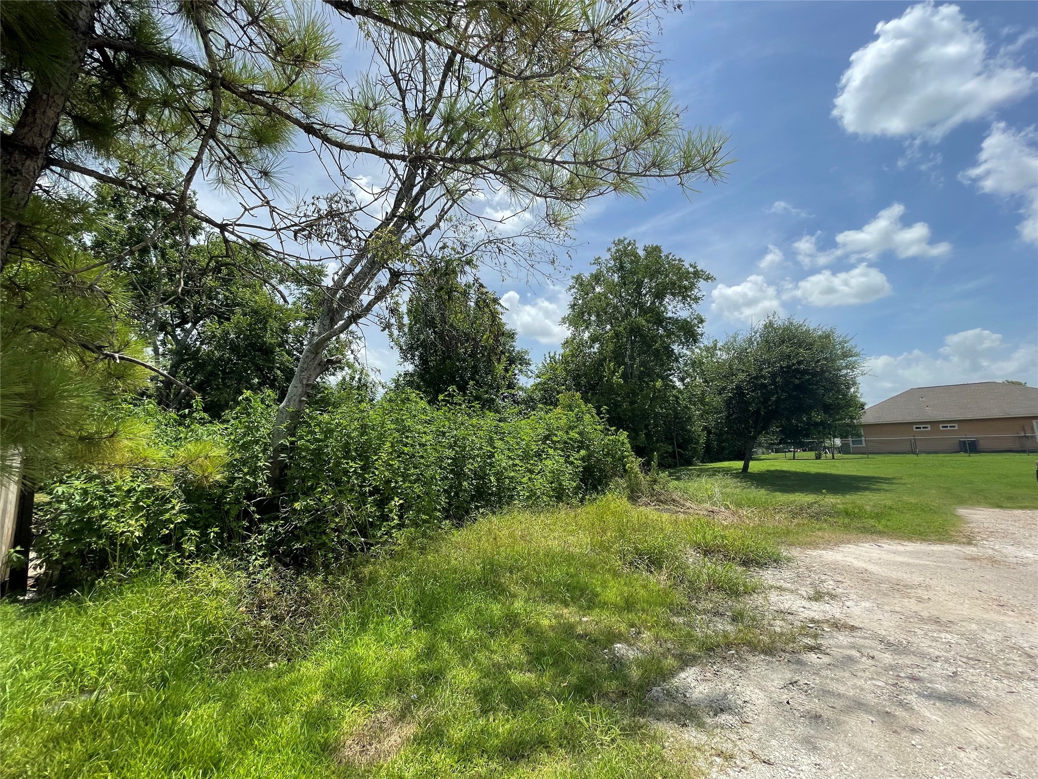 0 Doreen Street Rosharon, TX 77583 - Photo 5 of 24 a view of a yard with a tree