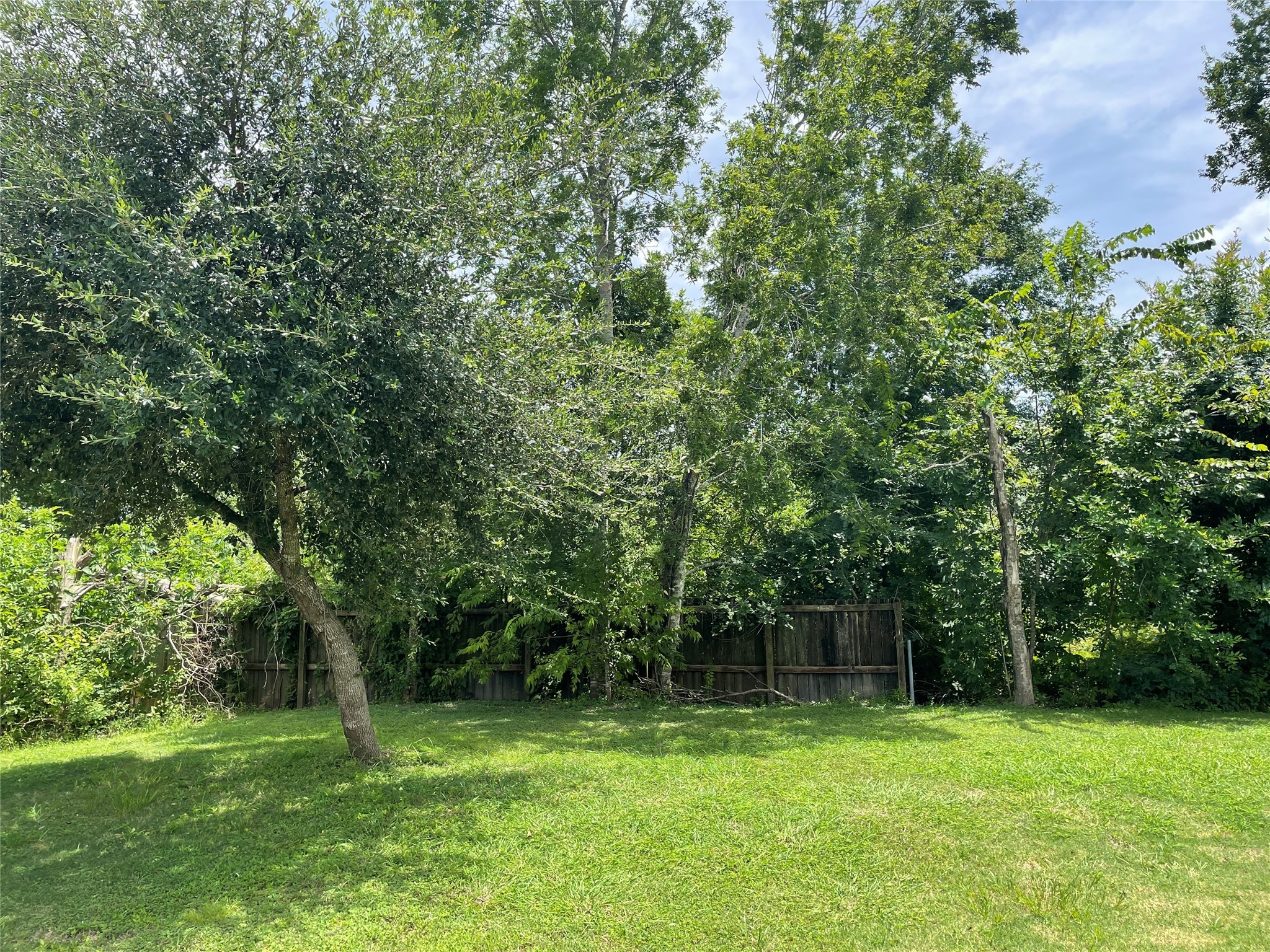 0 Doreen Street Rosharon, TX 77583 - Photo 7 of 24 a view of outdoor space with a garden and trees