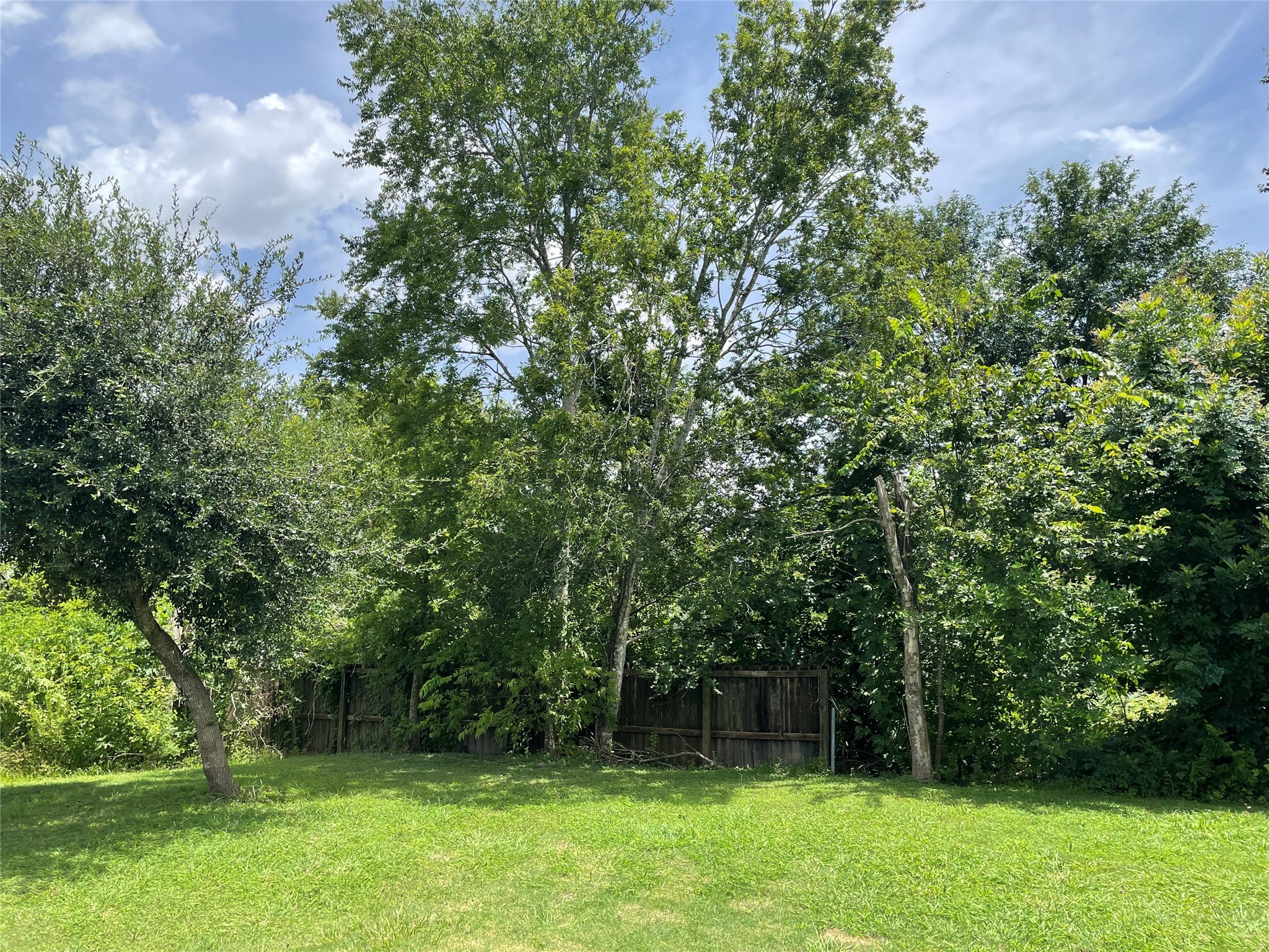 0 Doreen Street Rosharon, TX 77583 - Photo 9 of 24