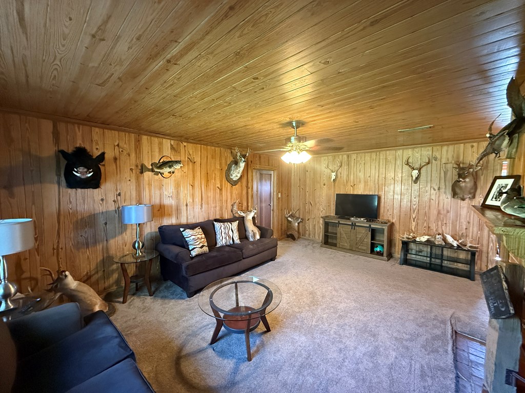 6275 South Springhill Road Gordon, AL 36343 - Photo 7 of 36