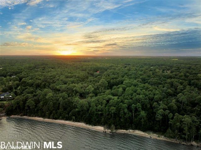 10346 County Road 99 Lillian, AL 36549 - Photo 2 of 11