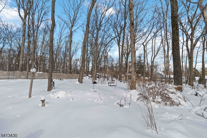 10 Forrest Road Randolph, NJ 07869 - Photo 33 of 37