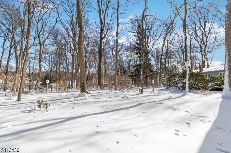 10 Forrest Road Randolph, NJ 07869 - Photo 34 of 37