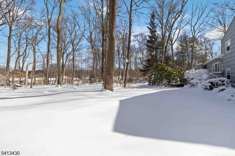 10 Forrest Road Randolph, NJ 07869 - Photo 35 of 37