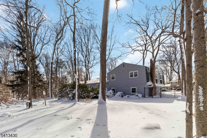 10 Forrest Road Randolph, NJ 07869 - Photo 36 of 37