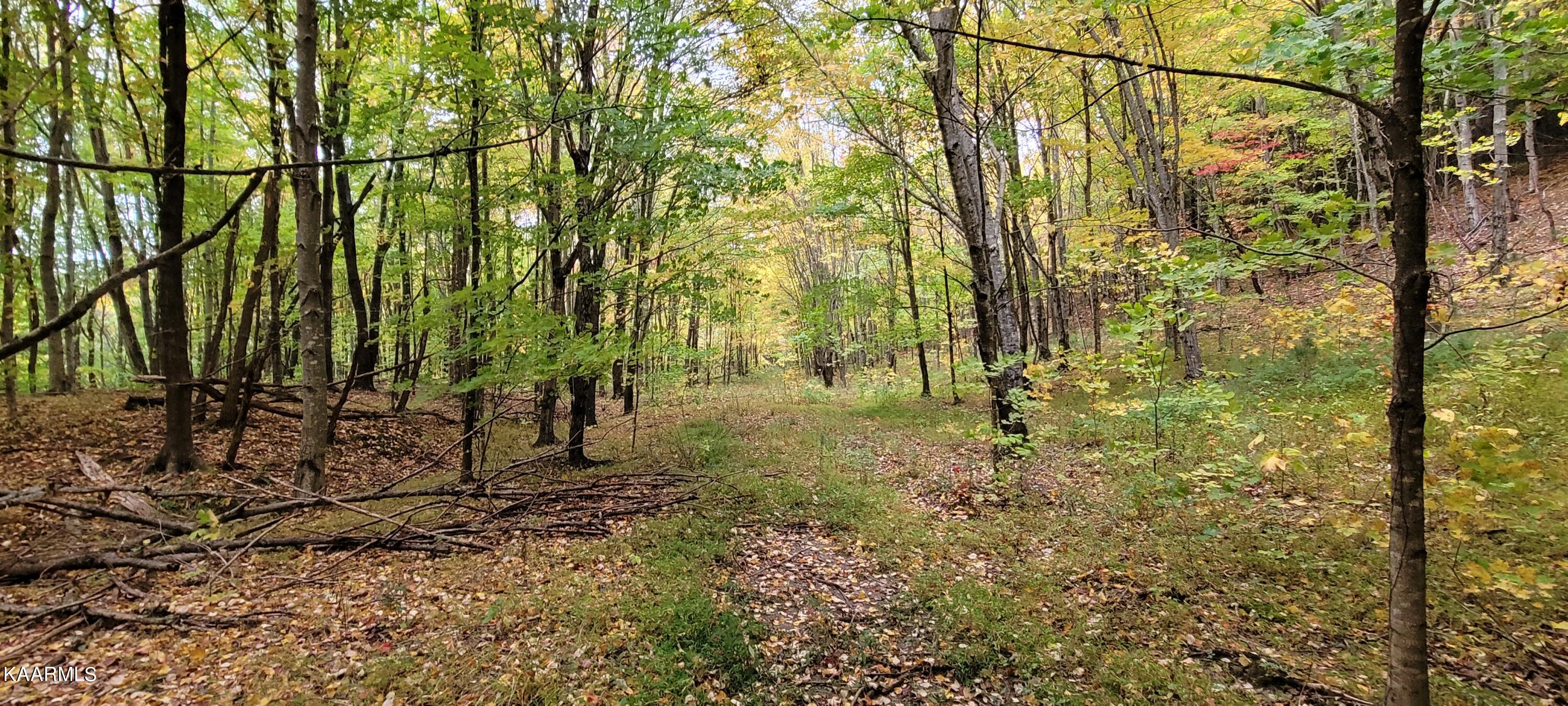 Thompson Trail Winfield, TN 37892 - Photo 11 of 40 Pic #11