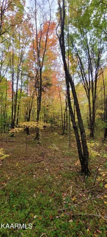 $189,000 | Thompson Trail, Winfield, TN 37892