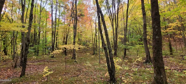 $189,000 | Thompson Trail, Winfield, TN 37892